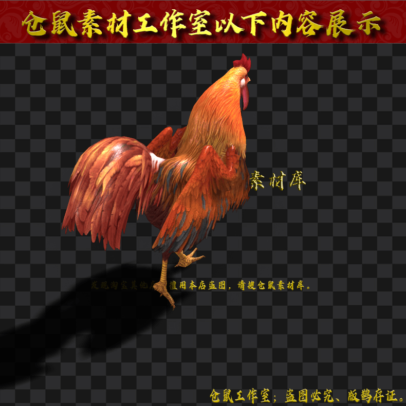 20250430-GW187大公鸡