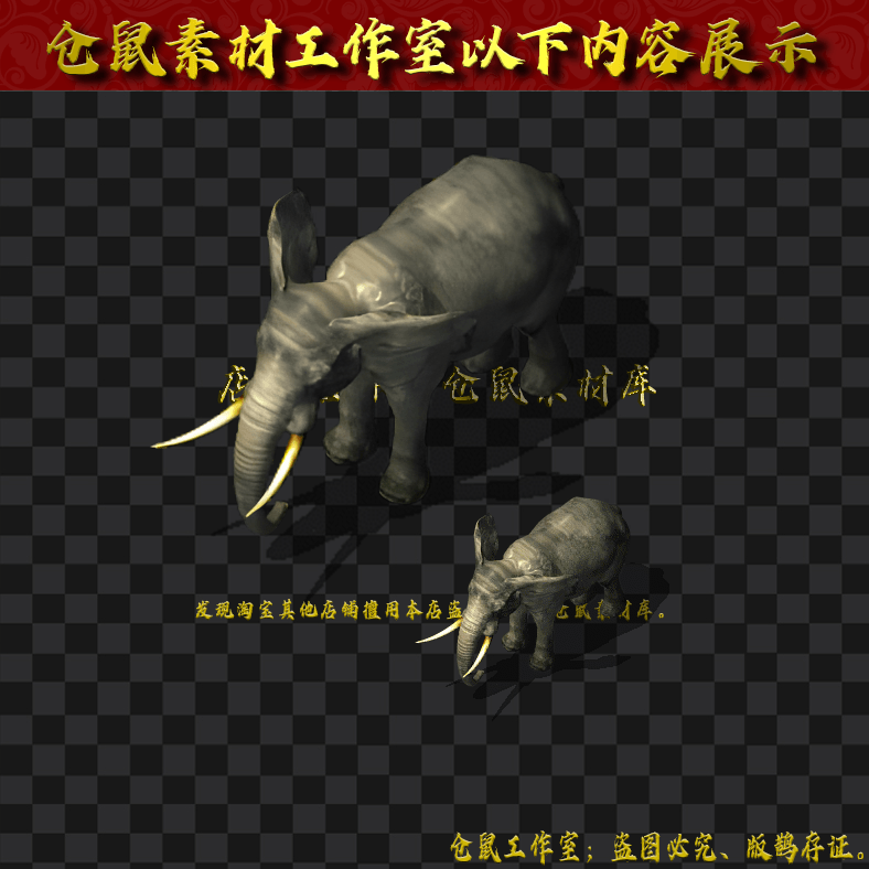 GW082野象大小2组