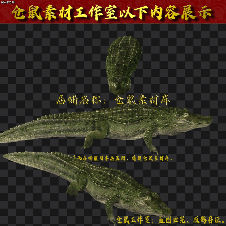 鳄鱼  GW328.rar