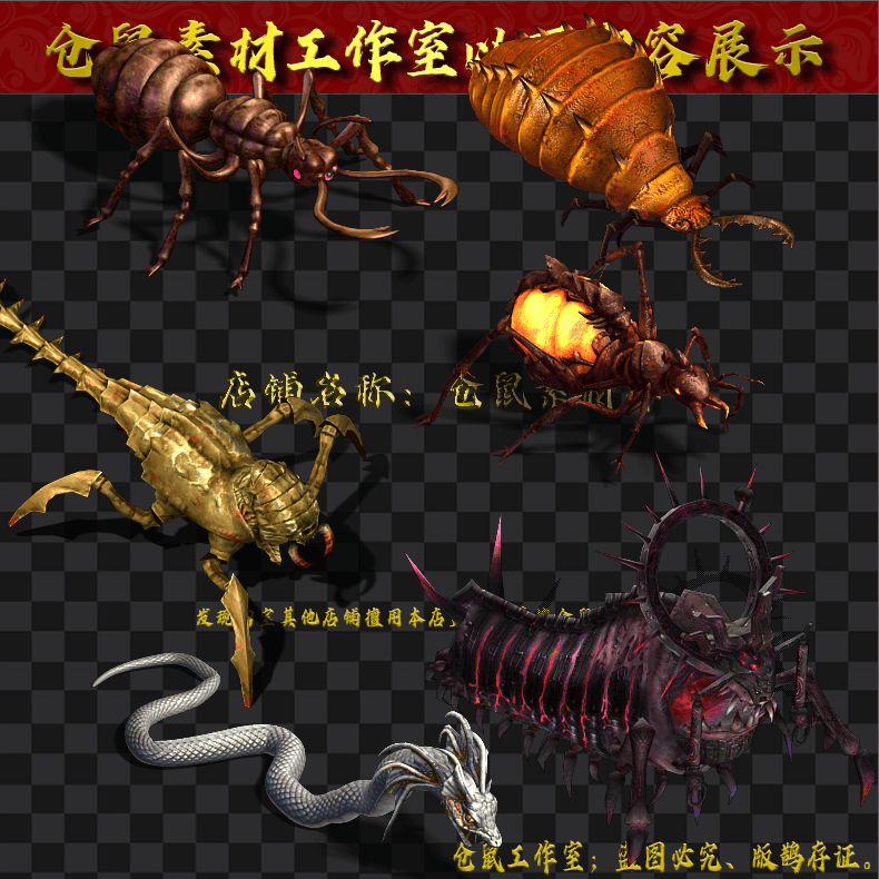 20250721-GW234昆虫