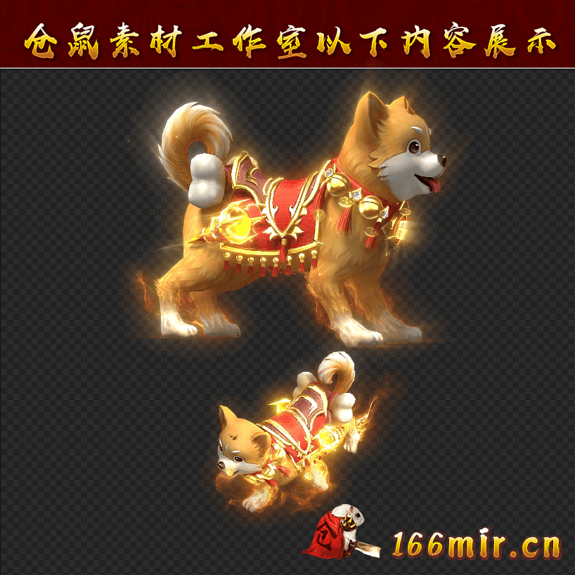ZQ012中华田园犬